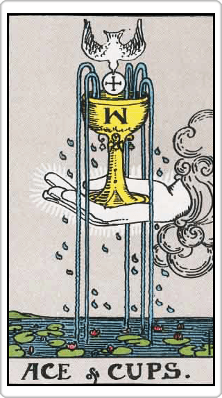 1 ถ้วย 1 ถ้วย